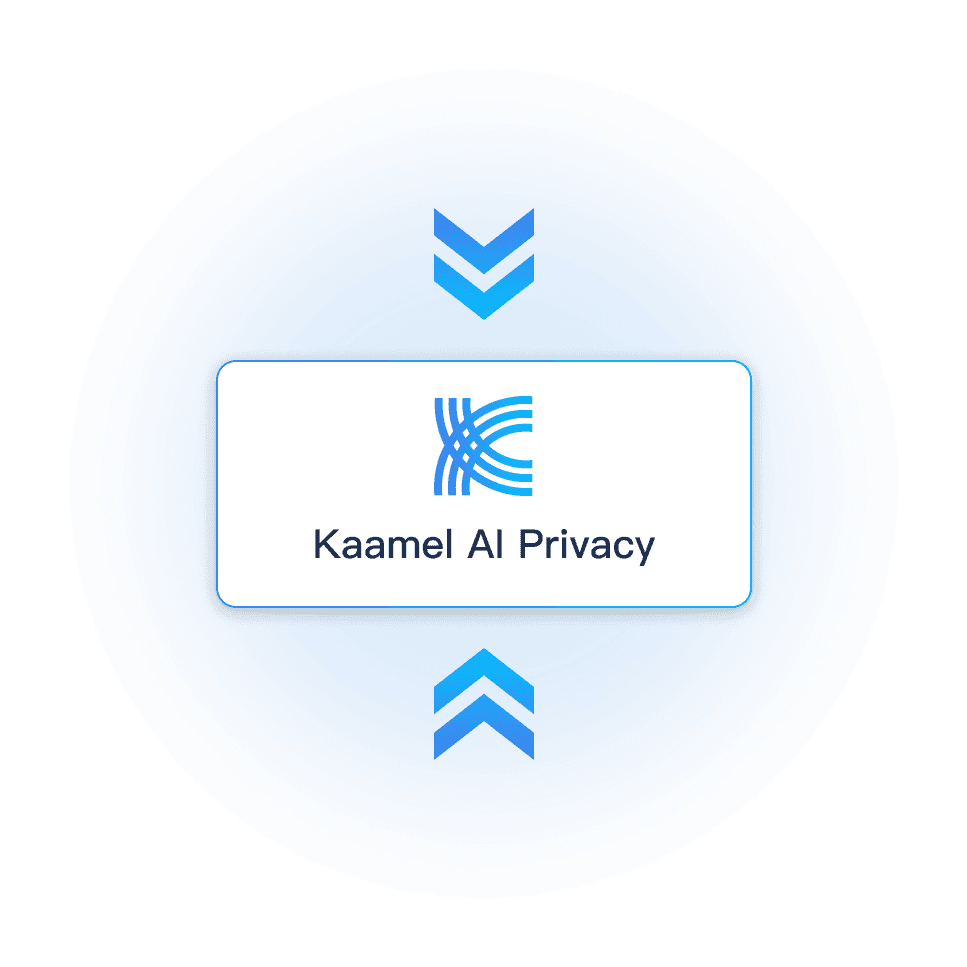 Kaamel AI Privacy